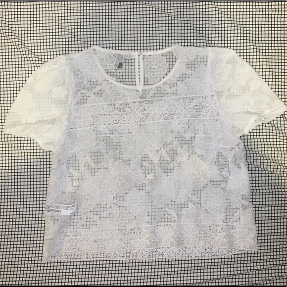 F21 Sheer Floral Lace Mesh Crop Top - Picture 3 of 5